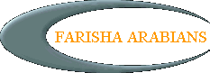 FARISHA ARABIANS